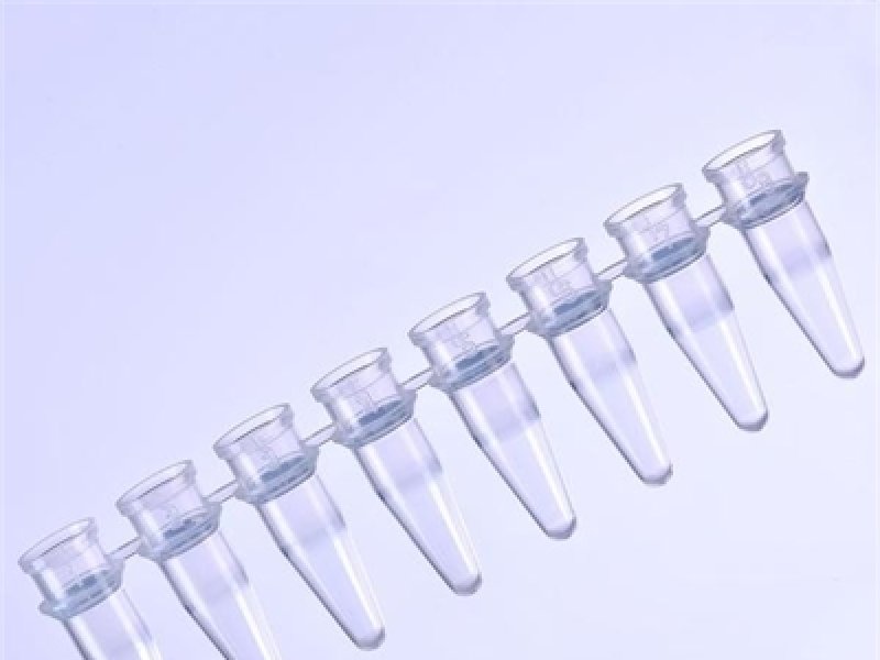 0.2ml 8 tubes per strip PCR tube,8 tubes per strip, flat cap 125 strips per bag, 10 bags per case