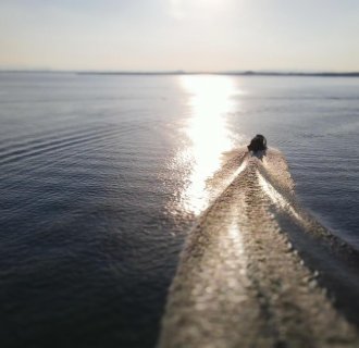 Efficiency Over Excess