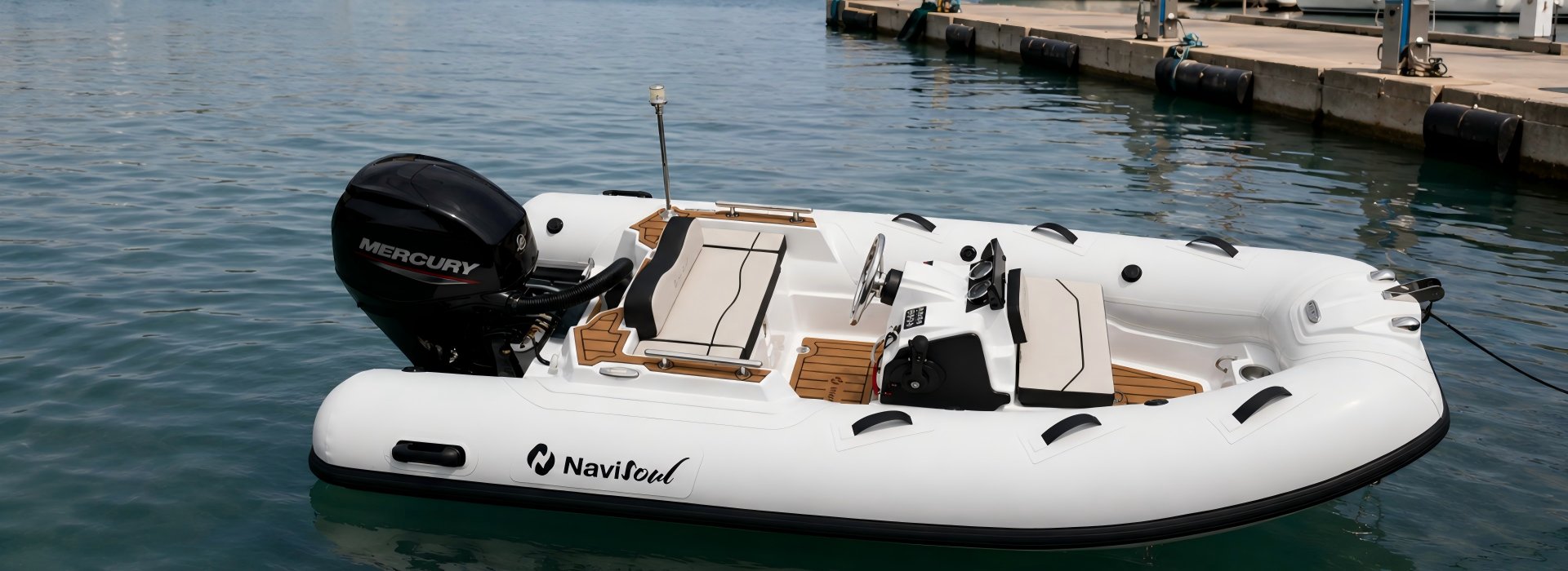 NAVISOUL350 GT