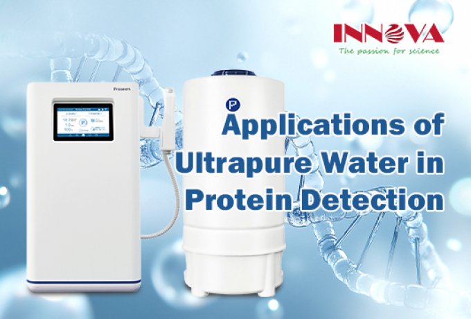 Applications of Ultrapure Water in Protein Detection