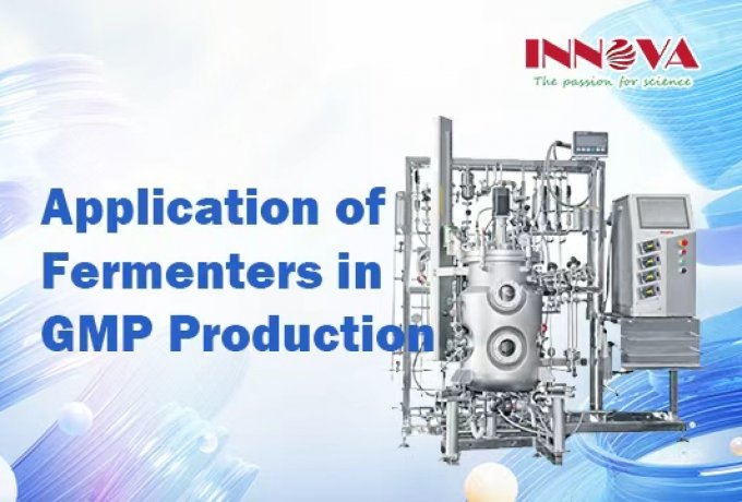 Application of Fermenters in GMP Production