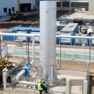 Biogas Flare