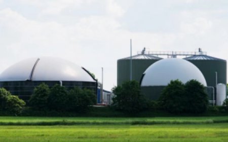 Excellence of Biogas Projects Translation