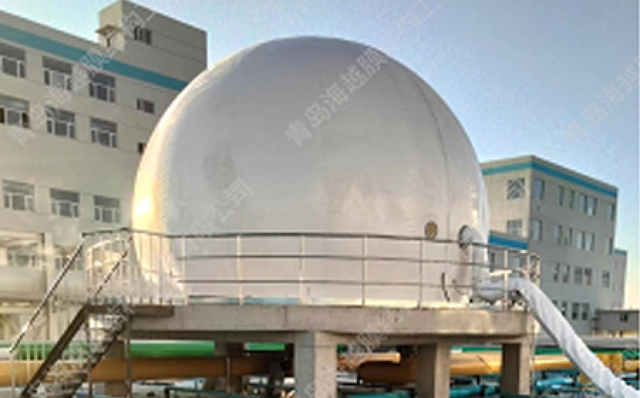 Recent Biogas Project Showcase