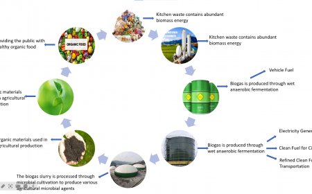 Utilization Statusand Prospect of AnaerobicDigestion Residueof Food Waste（Conclusion）