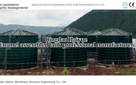 Introduction to Anaerobic Fermentation Tank Project