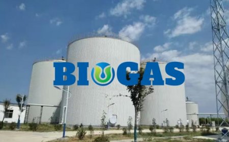 Anaerobic fermentation technology for animal husbandry