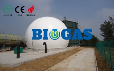 Common Issues in Double Membrane Gas Holders