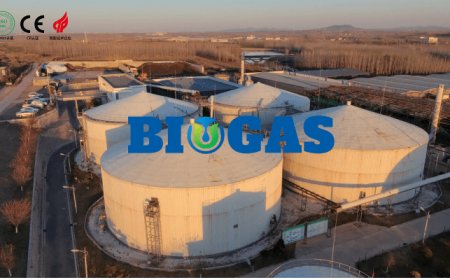 Italian Delegation Visits Haiyue’s Large-Scale Biomass Biogas Project in Zhucheng